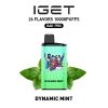 Dynamic Mint – IGET BAR PRO 10K